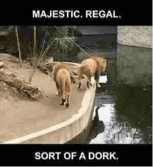 Vintage-style GIF
